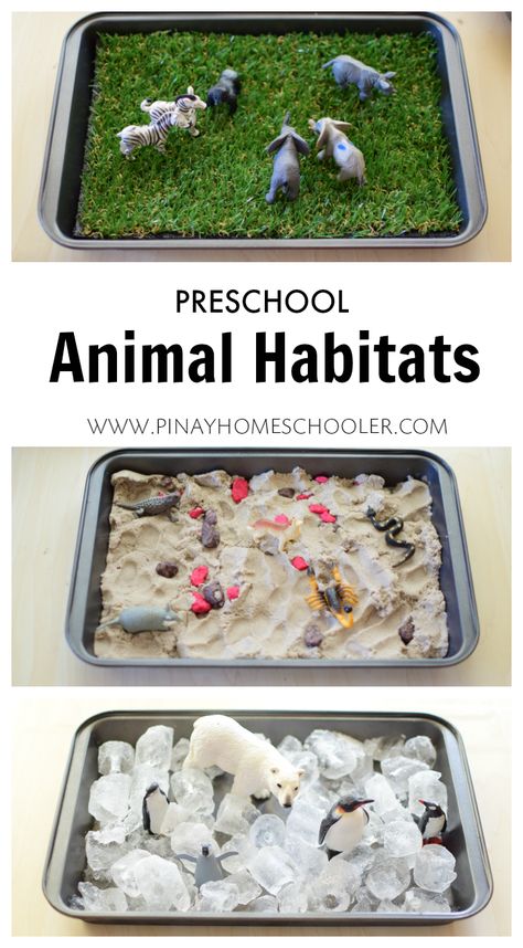 Animal habitats for preschoolers                                                                                                                                                                                 More Habitats Preschool, Animal Habitats Preschool, Sensory Table, Aktivitas Montessori, Animal Activities, Animal Habitats, Preschool Science, Afterschool Activities, Homeschool Preschool