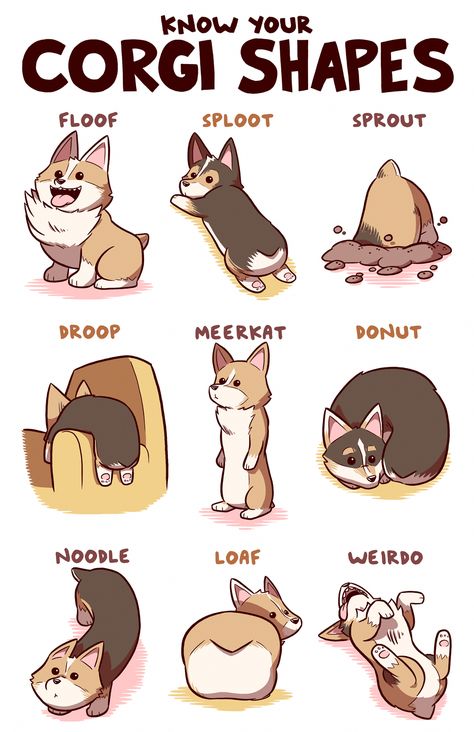 Playfull Corgi  Health #pembrokewelshcorgi #corgibutt pembrokewelshcorgi #CorgiPuppies Velcí Psi, Welsh Corgi Pembroke, Corgi Facts, Corgi Drawing, Cute Corgi Puppy, Pembroke Welsh Corgi Puppies, Corgi Art, Welsh Corgi Puppies, Psy I Szczenięta