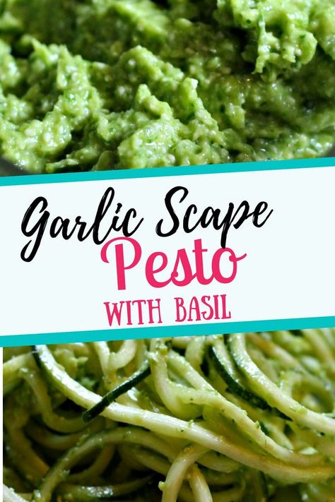 Scape Pesto, Garlic Scape Pesto, Easy Vegetable Recipes, Accountability Group, Basil Recipes, Easy Vegetable, Vegetable Side Dishes Recipes, Working Parent, Side Dish Recipes Easy