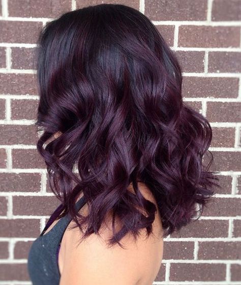 Plum to Black Ombre Hair Dark Purple Hair Color, Loreal Colorista, Black Hair Ombre, Hair Color Plum, Revlon Colorsilk, Dark Purple Hair, Plum Hair, Violet Hair, Hair Dyes