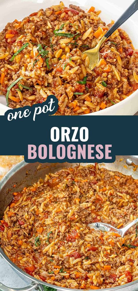 You've got to try this One Pot Orzo Bolognese! A delicious and easy weeknight dinner with tender orzo, savory ground beef, and rich tomato sauce. #OnePotMeal #ComfortFood #OrzoBolognese Easy Healthy Orzo Recipes, Ground Beef Recipes Orzo, Orzo Recipes With Ground Beef, Dishes With Tomato Sauce, Ground Meat And Pasta, Orzo Beef Recipes, Easy Healthy Italian Recipes, Orzo And Ground Beef Recipes, Beef Orzo Recipes