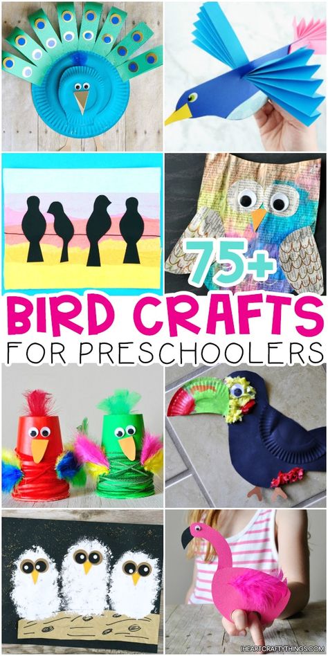 75+ Bird Crafts for Preschoolers -Ultimate list of bird crafts and activities for kids of all ages. Common birds, tropical birds, parrots, peacocks, owls, penguins and more. #iheartcraftythings Bird Crafts For Preschoolers, Bird Crafts Preschool, Birds For Kids, Birds Tropical, Birds Parrots, List Of Birds, Crafts For Preschoolers, Common Birds, Ace And Jig