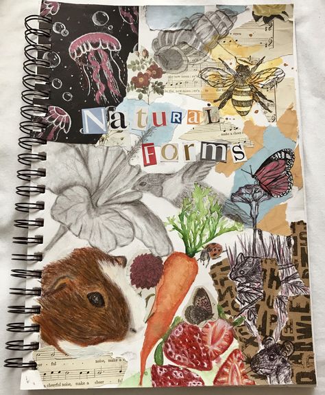 Artist Title Ideas, Gcse Art Textiles Sketch Books, Gcse Art Formal Elements Page, Sustain Investigation Art, Gcse Art Title Page Natural Forms, Natural Forms Gcse Art Title Page, Title Page Art A Level, Gcse Sketchbook Title Page, Gcse Title Page Art Sketchbook