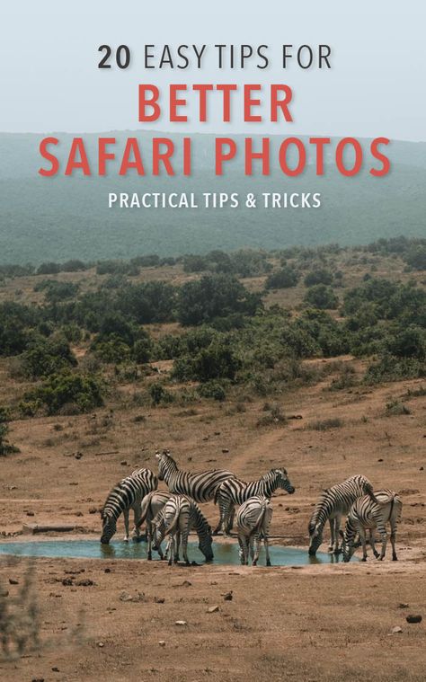 One of the first questions you think about after booking a safari is what camera is best for safari? Which safari photography equipment do I need? Here are my top tips and learnings from photographing my first safari! African Safari Photography, Tanzania Safari Photography, Safari In Kenya, Safari Photoshoot Ideas, Safari Pictures Ideas, Kenya Trip, Safari Explorer, Africa Safari Photography, Africa Safari Clothes