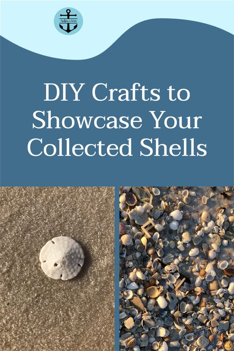 Sea Shell Keepsake Vacations, Display Sea Shells Ideas, Collecting Shells On The Beach, Vacation Seashell Ideas, Beach Stone Crafts Diy Projects, Displaying Shells Collection Ideas, Shell Memory Craft, What To Do With Shells From Vacation, Displaying Shells From Beach