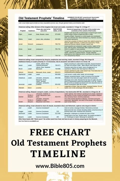 Schedule for Reading Through The Bible in Chronological Order, download and print out Old Testament In Chronological Order, Minor Prophets Of The Bible, The Bible In Chronological Order, Bible In Chronological Order, Bible Infographics, Old Testament Prophets, Bible Preaching, Prophets Of The Bible, World History Facts