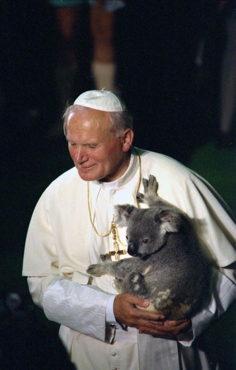 Pope John Paul II holding a koala, Brisbane, 25 November 1986. Saint Pope John Paul Ii, Paul Meme, Saint John Paul Ii, Pope Saint John Paul Ii, Christian Content, St John Paul Ii, Juan Pablo Ii, Catholic Religion, Pope John Paul Ii