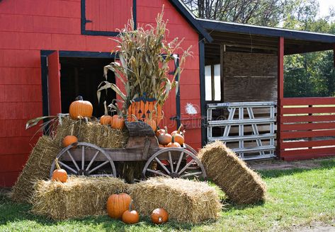 Halloween Scene. A red barn decorated for fall and halloween and thanksgiving , #ad, #red, #barn, #Halloween, #Scene, #halloween #ad Natal, Vintage Halloween Prints, Spring Bulbs Garden, Pumpkin Photography, Fall Yard Decor, Halloween Vinyl, Barn Parties, Fall And Halloween, Halloween Scene