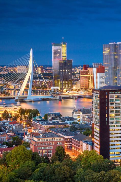 Top 10 Day Trips From Rotterdam, Netherlands Rotterdam, Beautiful Restaurants, Rotterdam Netherlands, Magical Adventure, Modern Architecture Design, Holiday Places, Netherlands Travel, Places In Europe, Tourist Places