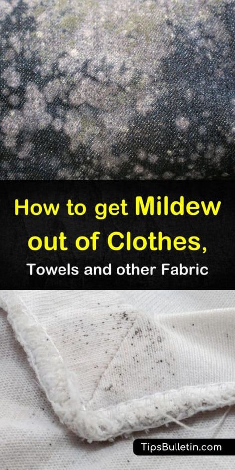 Mold Out Of Clothes, Mold On Clothes, Remove Mold Stains, Mildew Remover, Mildew Stains, Cleaning Mold, Get Rid Of Mold, Deep Cleaning Tips, Mold Remover