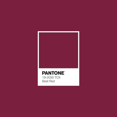 B E E T * R E D Pantone Swatches, Pantone Palette, Color Pantone, Pantone Colour Palettes, Kitchen Colour Schemes, Pantone Colors, Estilo Art Deco, Color Palette Design, Colour Pallete