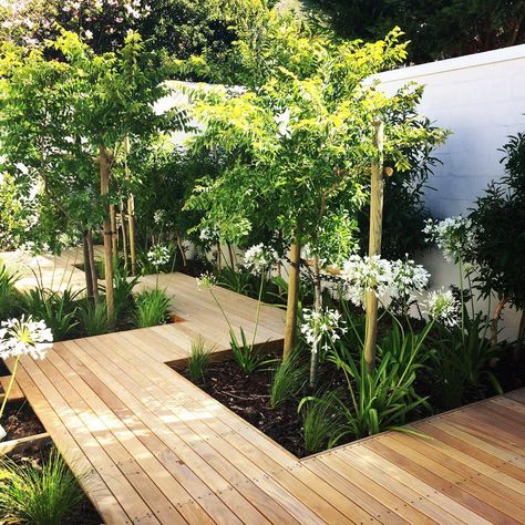 Decking ideas: 27 ways to transform your garden | Real Homes Decking Ideas, Narrow Garden, Wooden Deck, Back Garden Design, Outdoor Gardens Design, Contemporary Garden, Backyard Garden Design, Deck Garden, Garden Landscape Design