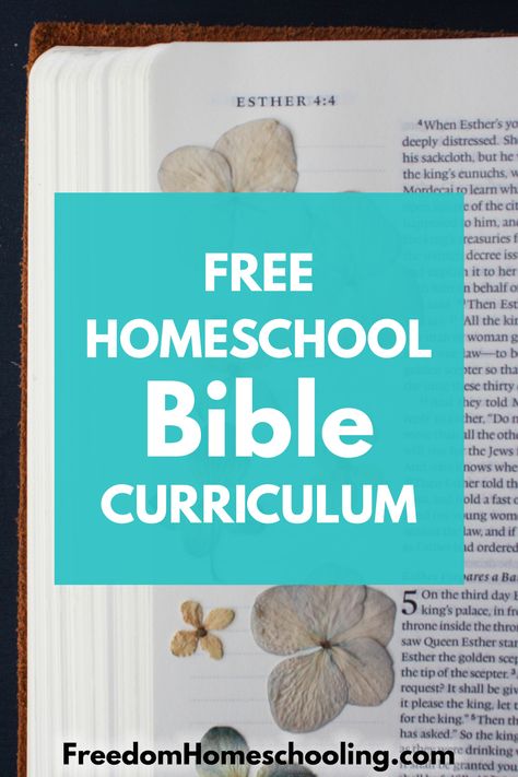 Family Bible Study Plans, Teen Bible Study Lessons, Kids Bible Study Lessons, Free Bible Study Printables, Homeschool Bible Curriculum, Childrens Bible Study, Teen Bible Study, Bible Study Activities, Bible Homeschool