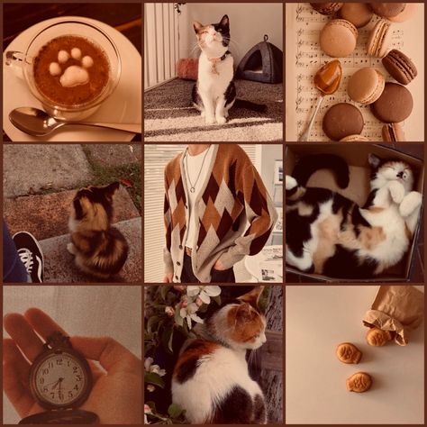 Fashion Mood Color Place Animal Food, Color Scheme Mood Board, Color Mood Boards, Character Design Board, Animal Mood Board, Moth Moodboard, Animal Moodboard Aesthetic, Mood Bored Aesthetic, Cow Moodboard