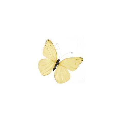 Yellow, Butterfly Png Icon, Yellow Png, Butterfly Png, Png Icon, Yellow Butterfly, Discord Server