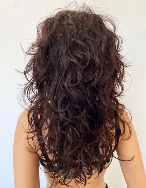 30 Shag Haircuts for Curly Hair - Curly Shaggy Hair Trends 2023 Chunky Layers Wavy Hair, Long Shaggy Wavy Hair, Chunky Layers Curly Hair, Long Shaggy Curly Haircuts, Lots Of Layers Wavy Hair, Wolfcut Long Hair Curly, Shag Haircut On Curly Hair, Long Shag Haircut Choppy Layers Curly, Shaggy Long Hair Curly