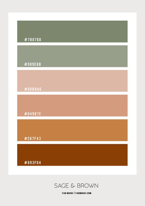 Brown and Sage Colour Palette | sage and brown color scheme Terracotta Color Palette With Hex Codes, Colour Combinations Hex Code, Sage Bedroom Palette, Boho Terracotta Color Palette, Light Sage Color Scheme, Paint Color Schemes With Sage Green, Earthy Pink Living Room, Terracotta Color Palette Hex Code, Boho Color Hex Codes