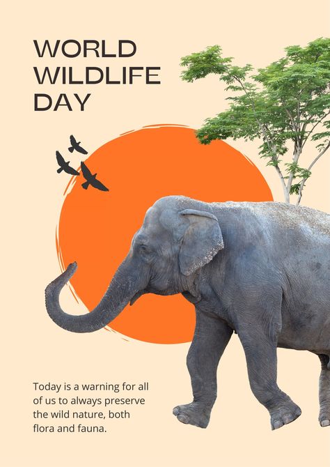 World Elephant Day Poster, Save Animals Poster Design, Safari Poster Design, Jiji Background, Zoo Advertising, Wildlife Day Poster, Zoo Poster Design, Zoo Advertisement, Animal Graphic Design