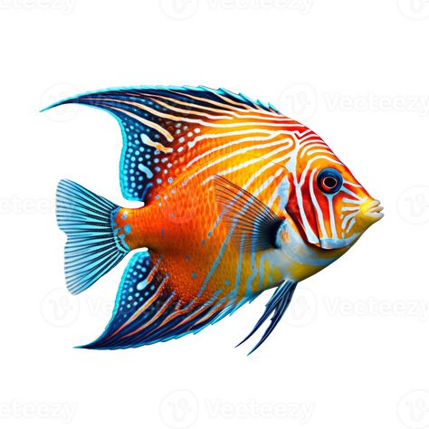 Tropical fish isolated on transparent background, created with generative AI Colorful Ocean Fish, Colourful Fish Painting, Tropical Fish Watercolor, Colourful Fish Drawing, Pretty Fish Ocean, Painting Fish Acrylic, Tropical Fish Painting, Sea Fish Drawing, Tropical Fish Drawing