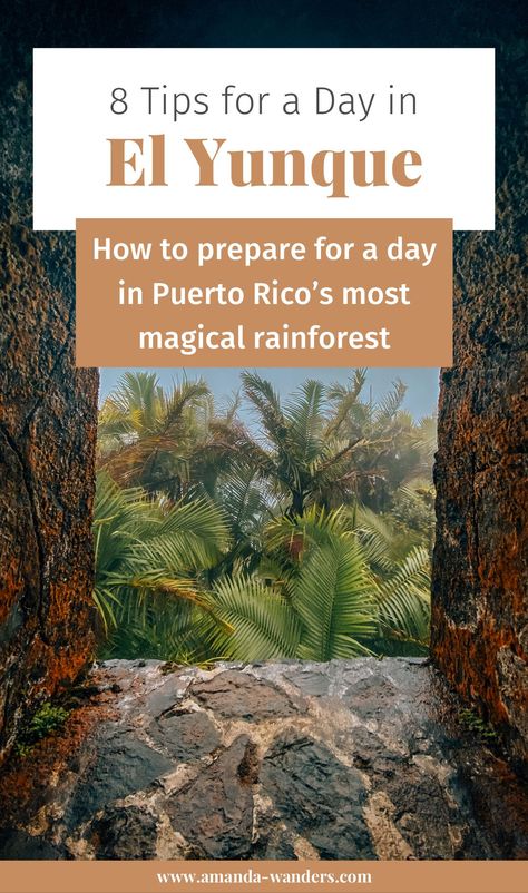 Rincon, San Juan, San Juan Rainforest, Puerto Rico Rainforest National Forest, Rainforest Vacation Outfits, El Yunque Rainforest Hiking, Rainforest Hike Outfit, Puerto Rico Rainforest, Hiking Puerto Rico