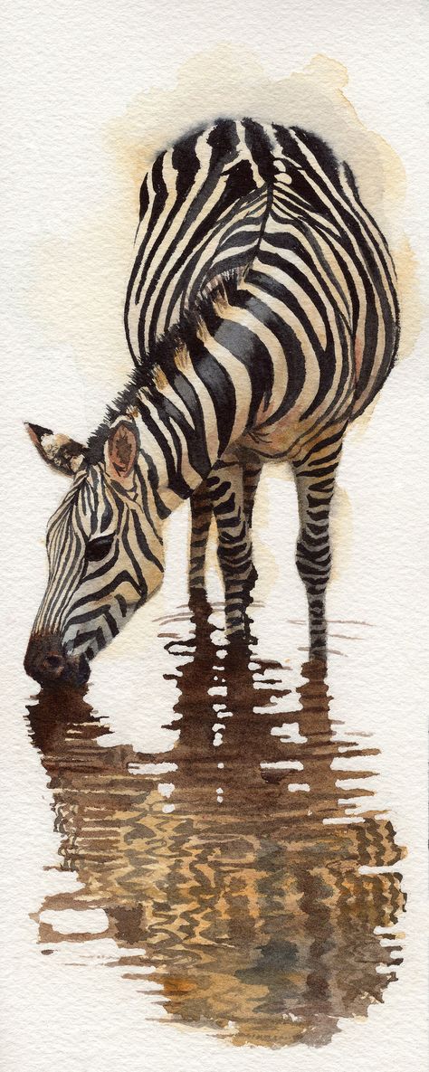 Watercolour Zebra Paintings, Watercolor Zebra Painting, Animal Watercolour Painting, Zebra Art Abstract, Zebra Painting Abstract, Cute Zebra Drawing, Zebra Painting Acrylics, Wild Animal Paintings, Zibra Paint