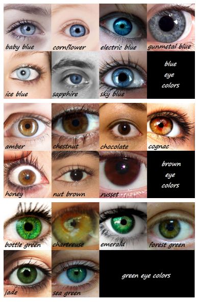 I'm either chocolate or nut brown which ever is darkest. :D Comment your eye color! Eye Color Names, Chart Character, Eye Colours, Eye Color Chart, Story Starter, Blue Eye Color, Bahasa Jepun, Colored Eyes, Amber Eyes