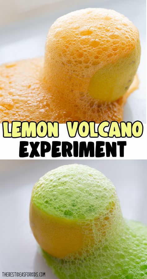 Fruit Experiments For Preschool, Volcano Activity Preschool, End Of The Year Science Experiments, 2 Grade Activities, Chocolate Science Experiments, Classroom Volcano Experiment, Lemon Day Activity, Make Your Own Volcano, Fun Science Activities For Preschoolers