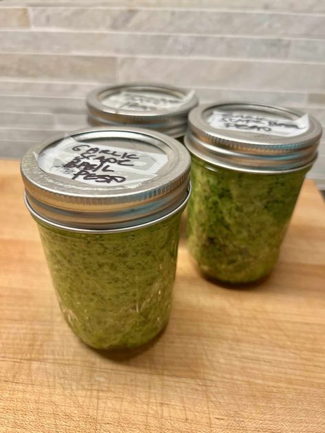 Scape Recipes, Garden Meals, Freezing Pesto, Pesto Dishes, Scape Pesto, Garlic Scape Pesto, Garlic Scapes, Pint Mason Jars, Csa Recipes