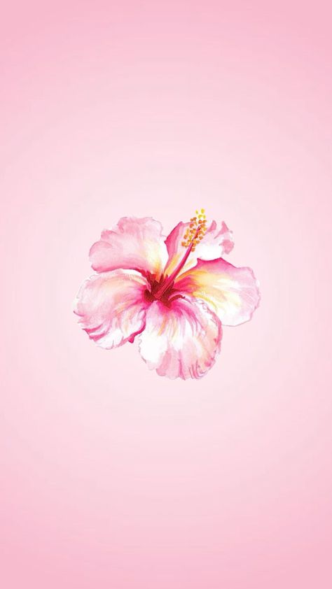 #pink #tropical #tropicalflower #pastel #lightpink #plain #wallpaper #aesthetic #widget Plain Wallpaper Aesthetic, Wallpaper Aesthetic Widget, Plain Pink Background, Pastel Pink Wallpaper Iphone, Flower Lockscreen, Desktop Wallpaper Summer, Pink Flower Wallpaper, Pink Wallpaper Laptop, Pink Wallpaper Ipad