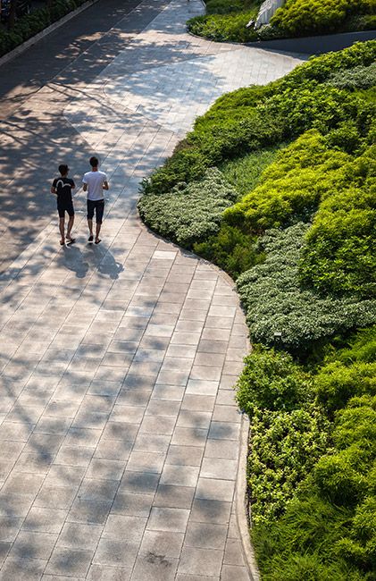 http://www.landezine.com/index.php/2015/04/roof-garden-bangkok-landscape-architecture/ Desain Lanskap, Easy Landscaping, Landscape Architecture Design, Have Inspiration, Landscape Plans, Landscaping Tips, Urban Spaces, Roof Garden, Landscape Projects