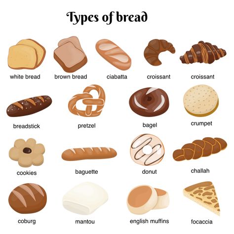 Aesthetic Bakery Food, Pastry Types, Bread Names, Types Of Pastries, Bread Aesthetic, Bread Illustration, Bread Types, Type Of Bread, Classic Tiramisu