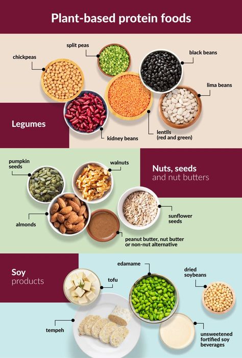 Protein Food Chart, Plant Based Protein Recipes, Canada Food Guide, Green Fruits And Vegetables, Blue Zones Diet, Detox Meal Plan, Daniel Fast Recipes, Food Chart, Canada Food