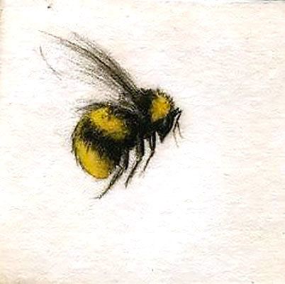 Cute Flying Bumble Bee Tattoo Design - Lovely bumble bee drawing tattoo design. Honey Bee Tattoo, Bumble Bee Tattoo, Vogel Tattoo, Bee Drawing, Kunst Tattoos, Bee Painting, Tattoo Desings, Bee Tattoo, Sketches Simple