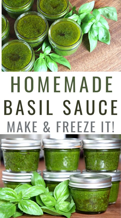 Ina Garten, What To Do With Basil From Garden, Basil Harvesting, Freezing Basil, Preserving Basil, Preserve Fresh Herbs, Fresh Basil Recipes, Dilly Beans, Basil Pesto Recipes