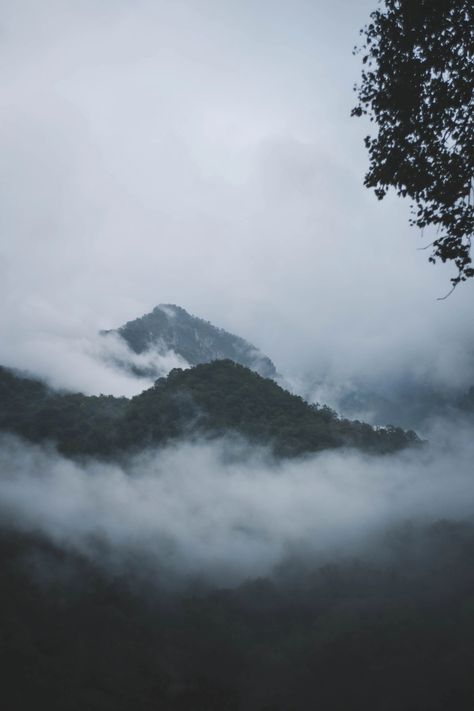 #mountains #fog #landscape #nature Mountains Fog Aesthetic, Nature, Bergen, Foggy Mountains Photography, Mountain Fog Aesthetic, Foggy Aesthetic Hill, Gloomy Mountain Aesthetic, Foggy Mountain Aesthetic, Dark Mountain Aesthetic