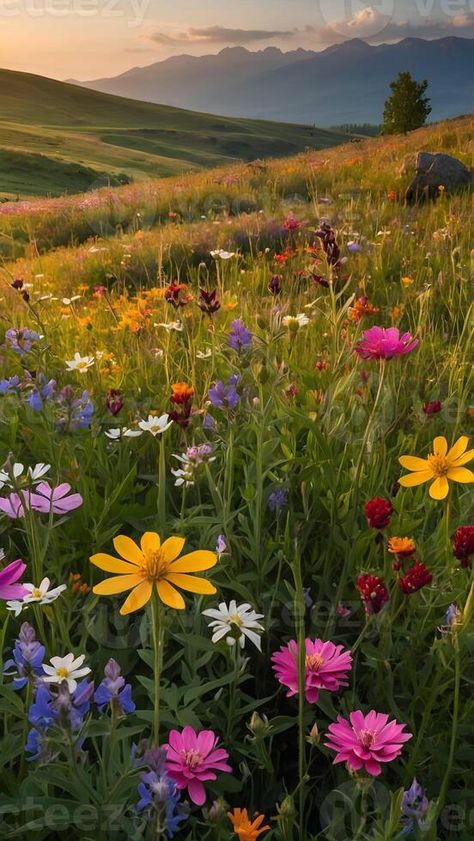 AI generated Wildflower Wonderland  Meadow Bursting with Colorful Blooms Fields Of Wildflowers, Field Of Flowers Pictures, Pictures Of Wild Flowers, Wild Flower Fields, Medow Photo Aesthetic, Midwest Wildflowers, Spa Mural, Wild Flowers Photography, Wildflowers Aesthetic