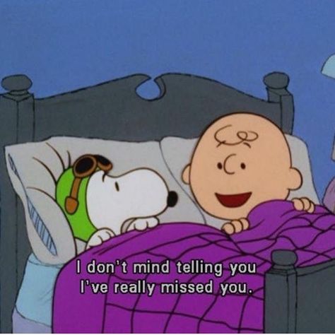 17 Wholesome Photos to Remind You That Life is Beautiful. Disney Tattoos, Charlie Brown Aesthetic, Tattoos Disney, Charlie Brown Quotes, Snoopy Quotes, Snoopy Pictures, Snoopy Love, Charlie Brown And Snoopy, Cartoon Quotes