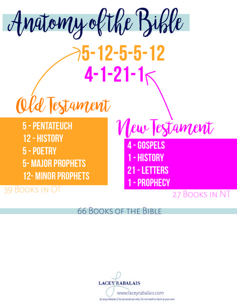 Anatomy of the Bible | Lacey Rabalais Bible Study Tips, Bible Organization, Bible Study Activities, Christian Mama, Scripture Writing, Study Notebook, I Love The Lord, Bible Study Notebook, M Learning