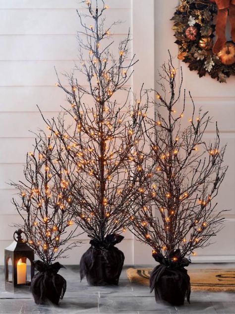 ✨Sale Alert✨ Pre-lit faux Halloween trees. Come in three sizes and feature black branches with orange light. Indoor and outdoor Halloween decor. Follow my shop @BusyBeeBlessings on the @shop.LTK app to shop this post and get my exclusive app-only content! #liketkit #LTKsalealert #LTKhome #LTKSeasonal @shop.ltk https://liketk.it/4hTQH Halloween Women Costume Ideas, Women Costume Ideas, Halloween Outfits Ideas, Costume Ideas Halloween, Halloween Outdoor Decoration, Halloween Costumes Ideas, Halloween Outside, Classy Halloween, Halloween Decor Ideas