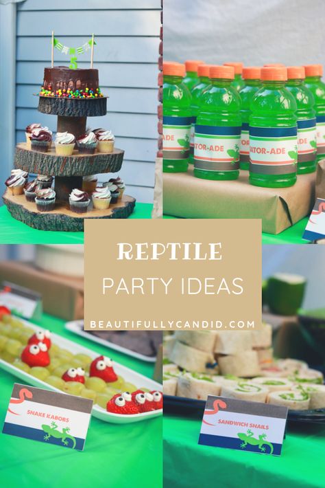 Reptile Birthday Party-Party Decor, Food Ideas Critter Keeper Party, Reptile Dessert Table, Lizard Birthday Party Decoration, Reptile Theme Party Food, Crocodile Food Ideas, Reptile Bday Party Ideas, Reptile Birthday Party Food Ideas, Reptile Party Decor, Salamander Birthday Party