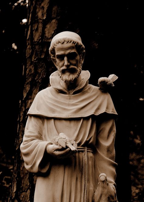 St Francis Statue, Francis Assisi, Desert Landscape Design, St Francis Assisi, Famous Saints, Saint Francis Of Assisi, Patron Saint Of Animals, Mother Mary Images, St Francis Of Assisi