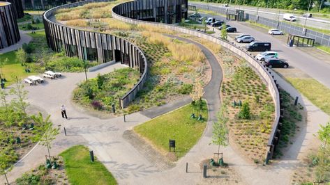 Viewing Deck Architecture, Retreat Architecture Design, Library Landscape Design, Sloped Landscape Design, Slope Architecture, Green Parking, Hillside Park, Slope Landscape, Landscaping A Slope