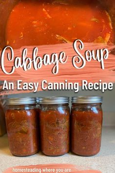 Canning Cabbage Soup, Canning Cabbage Recipes, Preserve Cabbage, Heathy Soup, Pressure Canner Recipes, Canning Cabbage, Canning Soup Recipes, Unstuffed Cabbage Soup, Fall Gardens