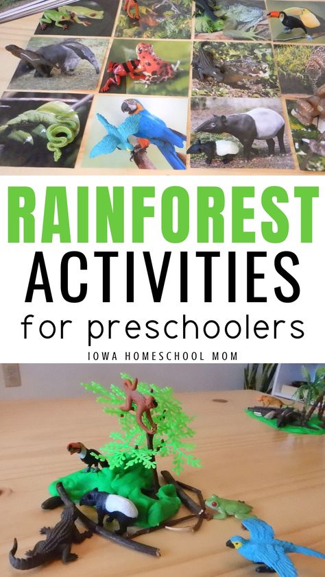 Preschool rainforest activities: A jungle theme unit study for learning about the rainforest with preschoolers. Lesson plans include math, literacy, art projects, science experiments, sensory play, motor skills, and free printables. #rainforest #preschool #preschoolactivities Montessori, Rainforest Animal Activities, Rainforest Sensory Activities, Rainforest Science Experiments For Kids, Rainforest Experiment, Rainforest Literacy Activities Preschool, Jungle Science Experiments, Rainforest Printables Free, Rainforest Worksheets