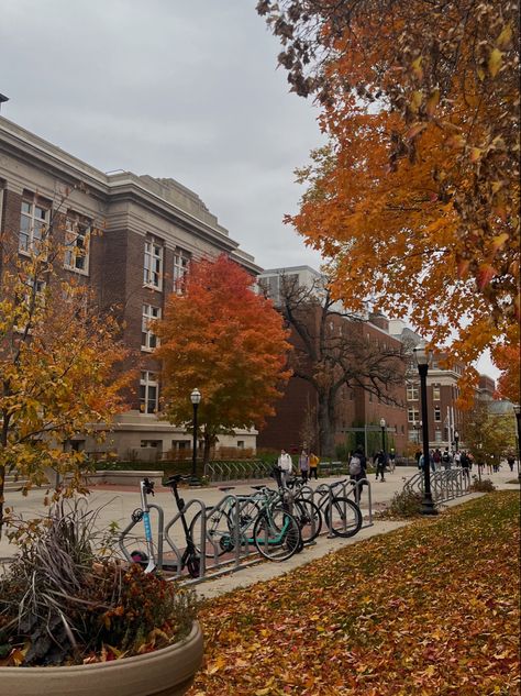 Music And Study, Fall Wallpaper Ideas, Library Studying, Fall Semester, Fotografi Alam Semula Jadi, Aesthetic Fall, Autumn Scenery, Season Of The Witch, University Of Minnesota