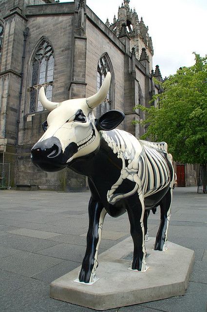 "Skeletal Cow [outside] St. Giles Cathedral" in the Cow Parade in Edinburgh, Scotland - photo by Niall Corbet, via Flickr Painted Statues, Painted Cows, Cow Sculpture, Country Cow, Cow Parade, Animal Parade, Greyhound Art, St Giles, Elephant Parade