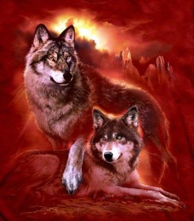 red wolf mates  alpha male protecting his mate Alpha Male Wolf, Wolf Mates, Three Wolf Moon, Indian Wolf, Mystical Wolf, Wolf Eyes, Alpha Wolf, Wolf Quotes, Wolf Spirit Animal