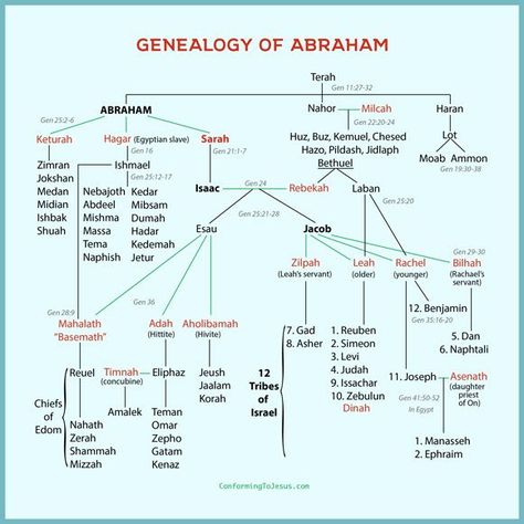 Bible Family Tree, Genesis Bible Study, Biblical Thoughts, Bible Genealogy, Genesis Bible, Bible Timeline, Revelation Bible, Bible Mapping, Genealogy Chart