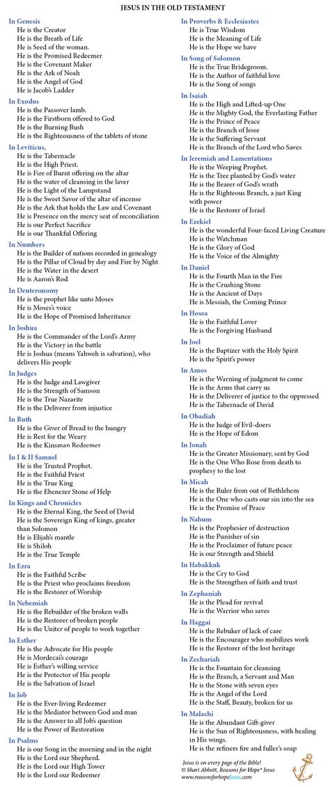 Authors Of Bible Books, Bible Book Meanings, Missing Books Of The Bible, Jesus Is God Scriptures, Jesus In Every Book Of The Bible, Breakdown Of Bible Books, Apostolic Bible Study, Books Of The Bible In Chronological Order, Which Bible Book To Read