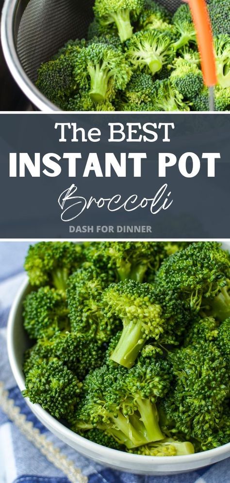 Do you want to include a nutritious, delicious vegetable in your meal without spending hours in the kitchen? Instant Pot Broccoli is the perfect option for a quick and easy side dish that is both healthy and delicious! Whether you opt to use fresh or frozen broccoli, this delicious vegetable can be cooked to perfection in minutes. With a few simple ingredients, you can create a flavorful, healthy side dish that your family will love. Instant Pot Broccoli, Homemade Aioli, Vegetarian Recipes For Beginners, Chicken Meatloaf, Broccoli Side Dish, Paleo Side Dishes, Dinner Rotation, Healthy Side Dish, Honey And Soy Sauce